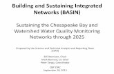 Building and Sustaining Integrated Networks (BASIN) and Sustaining Integrated Networks (BASIN) ... needs people with blinding sight ... assessments for factors affecting trends.