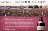 The changing face of Burgundy · We spend all our time in Burgundy looking for the value, ... (Pinot Noir for the red wine and Chardonnay for the white) ... best. eRobertParker