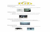 IGD Windshield Check List - IGD - Independent Glass … Windshield Check List.pdf · 2017-02-14 · Microsoft Word - IGD Windshield Check List.docx Author: lanceb Created Date: 2/14/2017