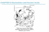 Nucleotides and Nucleic Acids - Web Publishing and Nucleic Acids ... the two solutions are mixed and slowly cooled, ... Nucleotides and Nucleic Acids Biochemistry ...