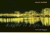 Halonix Balance Sheet 2011 - bseindia.com · Tel : +91-120-4012222, Fax (Intl.) : +91-120-2562943, E-mail : halonix@halonix.co.in . 96 BOARD OF DIRECTORS Mr. Raj Krishan Sahgal —