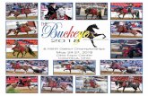 2018 Buckeye Prize List MR032018 - aha14.com · Krystle Howe. 3. ROCKED & RELOADED • Buckeye Half Arabian Western Pleasure JTR ... Owned by Greg Lymer. 8. BEAUJOLEIS • Buckeye