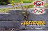 JAPANESE KNOTWEED - Devon · Isthe Japanese knotweed (JK)with whichyouare concernedon yourland? Isyour property coveredby anywarranty, insuranceor guaranteeetc? Hasthe materialbeen