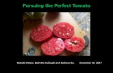 Pursuing the Perfect Tomato - Tucson Organic …€¢ Red – Rich in the ... Bacteria like sugar too, and many home canners need to look for more acidic, ... EcoGroand Ace Hardware