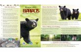 Know the Bear Facts Brochure - New Jersey · Know the Bear Facts ... Normal noise made walking on a trail should alert a bear to your presence, ... If the bear will not leave, slowly