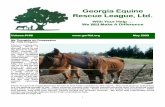 Georgia EquineGeorgia Equine Rescue League, Ltd. … 2009-05 Newsletter... · Rebecca Kilgore -Rebecca Kilgore --- Dawson , ... Shannon contacted PetSmart and acquired the form to