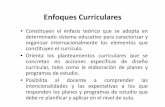 Enfoques Curriculares - Welcome to BSCW Shared …bscw.ual.es/pub/bscw.cgi/d842265/ENFOQUES CURRICULARES .pdf · Enfoque Critico/ Emancipador • Trata de superar tanto la visión