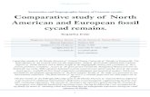 Systematics and biogeographic history of Cenozoic cycads ... · Systematics and biogeographic history of Cenozoic ... main objective of my research visit was the comparative study