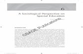 A Sociological Perspective on Special Education · broad perspectives relating to social theory may be identified in research ... namely functionalist and critical ... A SOCIOLOGICAL
