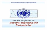 UNIDO’s Programme for Industrial Upgrading and … · • Develop national consulting capability to address the ... • Implement UNIDO software Measurement and Control-Chart Toolkit