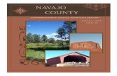 Navajo County - Finance - Comprehensive Annual … Row: District 2—Jesse ... Special Revenue - Sheriff’s Office 112 Special Revenue ... FACTORS AFFECTING NAVAJO COUNTY’S FINANCIAL