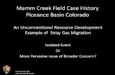 Mamm Creek Field Case History - GWPC · Mamm Creek Field Case History ... Grand Hogback . Williams Fork Fm. Fluvial & Floodplain dis- ... • EnCana also observes BH pres. ...