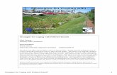 Strategies for Coping with Polluted Runoff Runoff Cooperative Extension ... drain and probably accomplishing some natural processing of ... to reduce the discharge of pollutants to