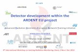Detector development within the ARDENT EU project - … Workshop... · Detector development within the ARDENT EU project . ... GEM measurements at CERF . 9th IWIRM, Oarai, ... size
