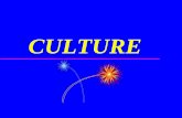 CULTURE · one culture adopts traits of ... centric=at the center) ... 11. Xenophobia-- (xeno=foreign; phobia=fear) a fear of foreigners or things foreign. B.