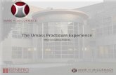 The Umass Practicum Experience - Isenberg Mgmt/MBAM… · The Umass Practicum Experience ... Under Armour ... is required if this is what will ensure strategic recommendations and