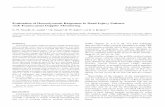 Evaluation of hemodynamic responses in head …seattleneurosciences.com/wp-content/uploads/2017/10/...Acta Neurochir (Wien) (1997) 139:804-817 Acta Neurochirurgiea 9 Springer-Verlag