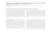 Review: Creutzfeldt–Jakob disease: prion protein type ...dosequis.colorado.edu/Courses/BrainWeb/papers/CJD1.pdfReview: Creutzfeldt–Jakob disease: prion protein type, disease phenotype