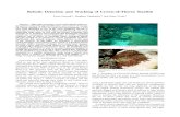 Robotic Detection and Tracking of Crown-of-Thorns … · Robotic Detection and Tracking of Crown-of-Thorns Starﬁsh ... our aim is to detect COTS from a mov- ... have a starﬁsh