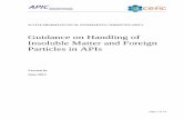 Guidance on Handling of Insoluble Matter and Foreign ... · APIC Guidance on Insoluble Matter and ... (the International Pharmaceutical Excipients ... Currently the guidance from