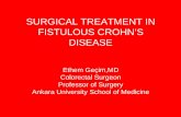 SURGICAL TREATMENT IN FISTULOUS CROHN’S … TREATMENT IN FISTULOUS CROHN’S DISEASE ... Loftus EV, Schoenfeld P ... CosnesJ, Catta S, Blain A et al. Long term evolution of disease