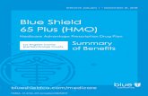 Blue Shield 65 Plus (HMO) services outside the United States ... diabetic services and ... Blue Shield 65 Plus (HMO) – Los Angeles County ...