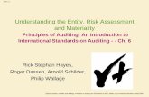 Understanding the Entity, Risk Assessment and MaterialityHayes, Dassen, Schilder and Wallage, Principles of Auditing An Introduction to ISAs, edition 2.1] ... 4 Prepare the planning