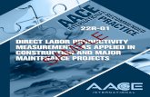 22R-01: Direct Labor Productivity Measurement - As Applied ...web.aacei.org/docs/default-source/toc/toc_22r-01.pdf · AACE® International Recommended Practice No. 22R-01 DIRECT LABOR