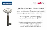 QM/MM models for solvated and embedded systems (ground · 2018-02-12 · QM/MM models for solvated and embedded systems (ground state energies, properties and reactivity) Workshop