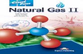 Natural Gas II - storage1.expresspublishingapps.co.ukstorage1.expresspublishingapps.co.uk/careerpaths/NaturalGas2.pdf · Natural Gas II Student’s Book ... machinist, mechanic, millwright,