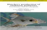 Hatchery production of snubnose pompano - … production of snubnose pompano Trachinotus blochii Lacepede AQUACULTURE EXTENSION MANUAL NO. 56 JULY 2014 Ofelia S. Reyes Evelyn Grace