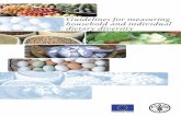 Guidelines for measuring household and individual dietary ...€¦ · 16 SPICES, CONDIMENTS, BEVERAGES ... If assessment of the ... What the tool measures Household economic access
