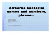 Airborne bacteria: names and numbers, please…vali/perugia07/talks/thyrhaug.pdf · Airborne bacteria: names and numbers, please… Runar Thyrhaug Dep. of Biology University of Bergen
