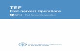 Post-harvest Operations - Food and Agriculture … · Post-harvest Operations - Post ... These crops amongst others have a stable system of pre-and post harvest operations and ...