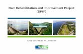 Dam Rehabilitation and Improvement Project (DRIP) · Dam Rehabilitation and Improvement Project (DRIP) ... schedule, sufficiency of labour, ... data collection, storage, ...
