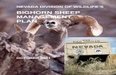 BIGHORN SHEEP MANAGEMENT PLAN - AZGFD€¦ · Tommy A. Ford ... Nevada Division of Wildlife’s Bighorn Sheep Management Plan THE VALUE OF ... activity will be the basis for protection