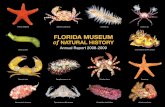 Florida MuseuM of Natural History · Gainesville, FL 32611-2710 Editor: ... the southeastern United States ... • Completed digital imaging of Bullen Projectile Point Type Collection