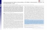 Chromosomal directionality of DNA mismatch repair in ... · Chromosomal directionality of DNA mismatch repair in Escherichia coli A. M. Mahedi Hasan and David R. F. Leach1 Institute