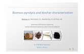 Department Of Biosystems Engineering, Faculty of ... · Biomass pyrolysis and biochar characterization Ronsse, F., Dickinson, D., Nachenius, R. & Prins, W. Department Of Biosystems