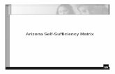Arizona Self-Sufficiency Matrix - VisionLink Matrix.pdfKey Features in Self-Sufficiency Matrix Three Key Features: 1. 18 domains in the Self-Sufficiency Matrix 2. Client’s status