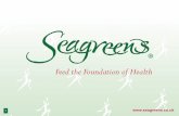 Feed the Foundation of Health - Seagreensseagreens.co.uk/Documents/SeagreensFoodIndustryPresentation.pdf · Carbohydrate / fibre including important non-starch polysaccharides and