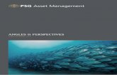 ANGLES & PERSPECTIVES - psg.co.za · Risk/return profile 18 9. Unit trust summary 19 ... calm and rational manner ... outcomes. Angles & Perspectives ...