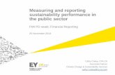 Measuring and reporting sustainability performance in the ... and Reporting Sustainability... · Measuring and reporting sustainability performance in ... ‘integrated thinking’