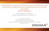 EXPERIMENTAL DESIGN APPLICATIONS FOR MODELING … Library/Events/2012/Carbon Storage RD... · EXPERIMENTAL DESIGN APPLICATIONS FOR MODELING AND ... –Static and Dynamic Reservoir