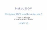 What does BGP4 look like on the wire - uknof.org.uk · Naked BGP What does BGP4 look like on the wire ? Thomas Mangin Exa Networks Limited UKNOF 15. Who reads RFCs ? ... RFC 3107