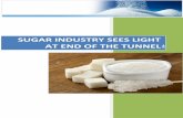 SUGAR Industry Report - Wealth Management … · Brazil, Pakistan and Thailand. ... especially precarious at the market in New York, which is ... The size of the annual sugar cane