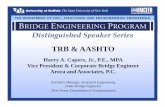 TRB & AASHTOTRB & AASHTO - Buffalomceer.buffalo.edu/education/Bridge_Speaker_Series/Spring_2011/... · TRB & AASHTOTRB & AASHTO ... Transit , Rail, and Water Role of AASHTO - AASHTO