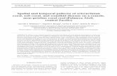 Spatial and temporal patterns of scleractinian coral, soft ... · Spatial and temporal patterns of scleractinian coral, soft coral, and zoanthid disease on a remote, ... (Palmyra