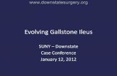 Evolving Gallstone Ileus - SUNY Downstate Medical Center · Evolving Gallstone Ileus SUNY – Downstate Case Conference . January 12, 2012 .