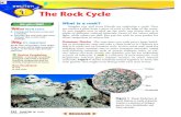 The Rock Cycle - Center Grove Community School … · 2011-02-21 · Look at the rock cycle and notice that rocks change by many ... These sediments are compacted or cemented into